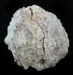 Crystal Filled Dugway Geode #33186-1